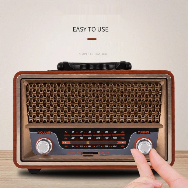 Radio Portatile in Legno di Al - Apple Music Audio Quality recensione e prezzo
