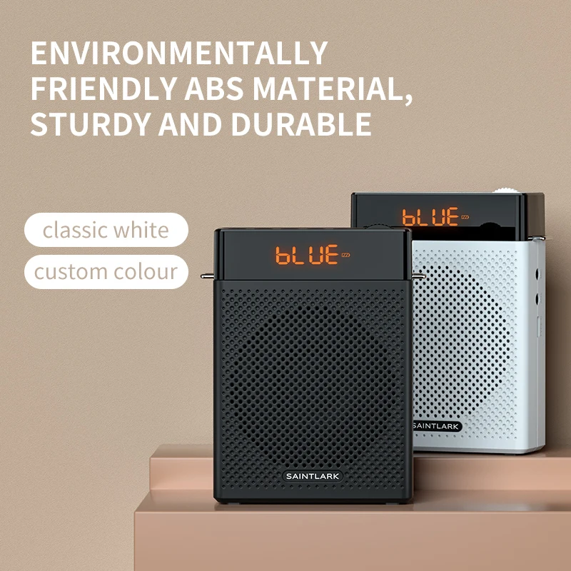 LINIM S2 Altoparlante Audio Po - Portable Amplifier Mini recensione e prezzo