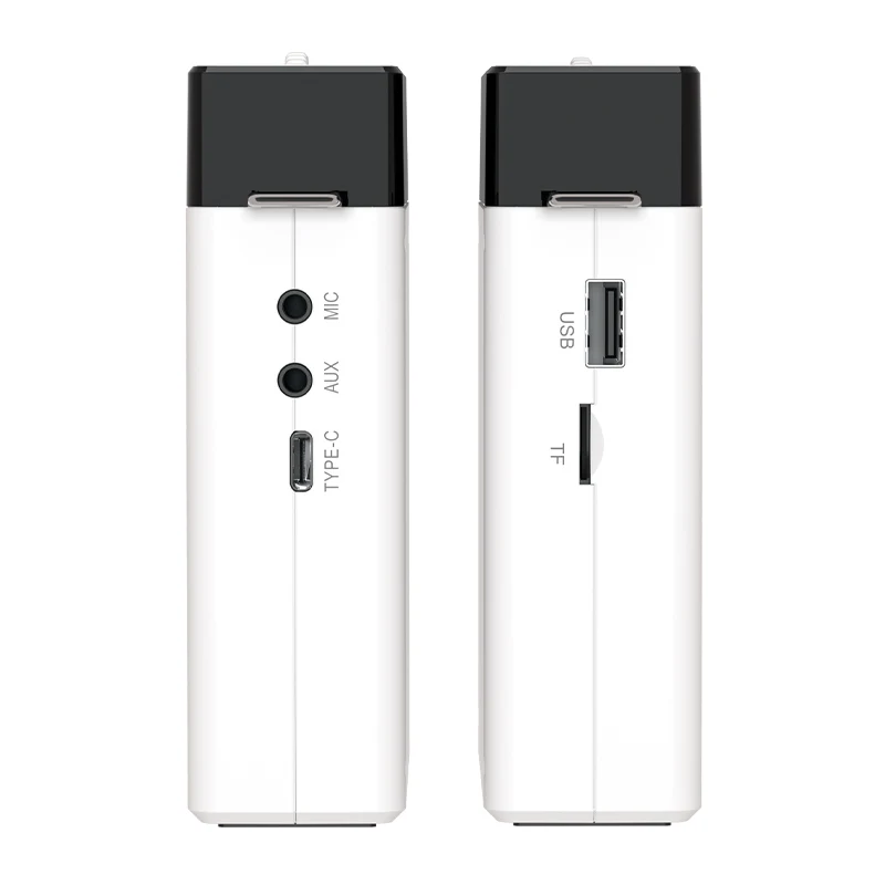 LINIM S2 Altoparlante Audio Po - Portable Amplifier Mini recensione e prezzo