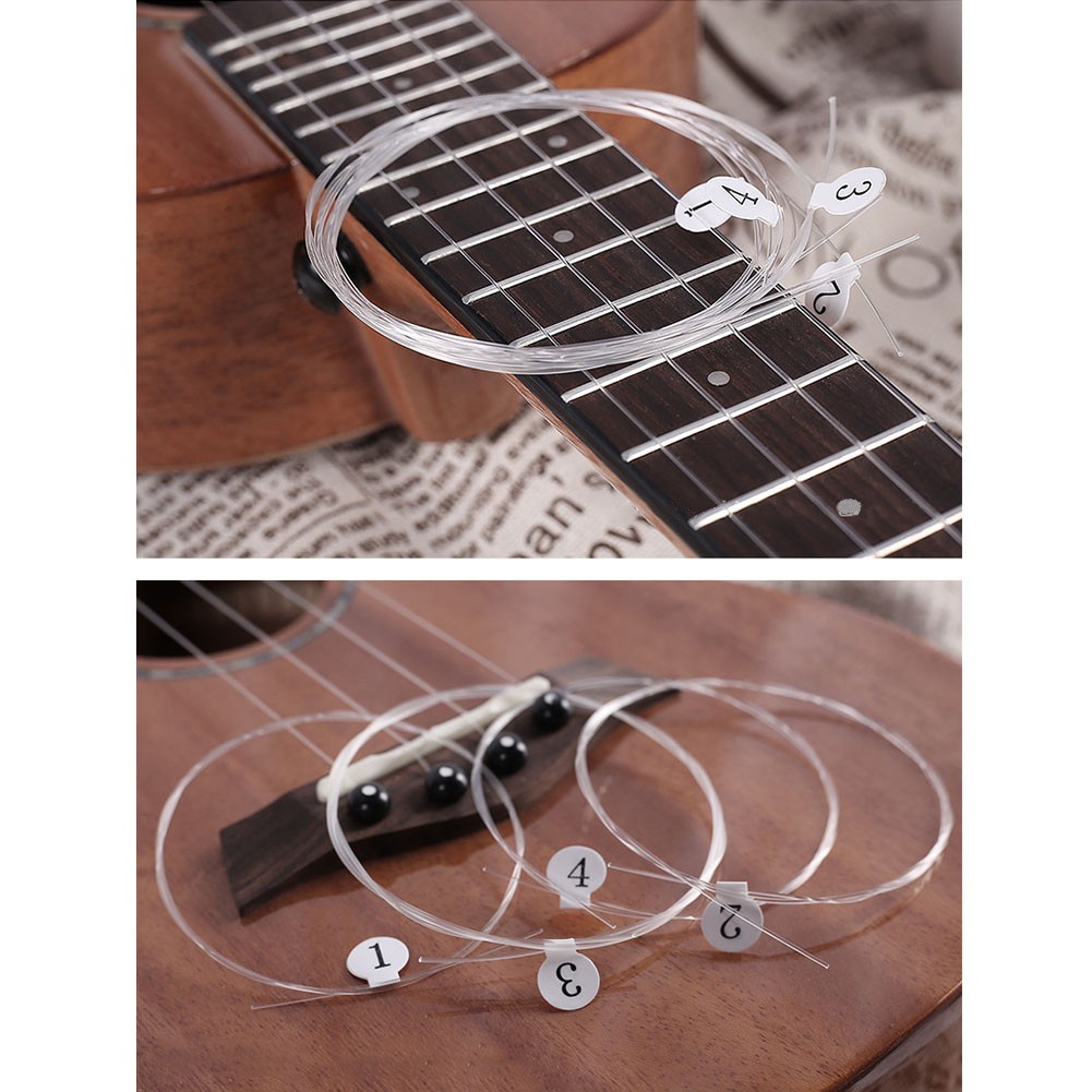 Corde in carbonio per Ukulele  - Ukulele Beginner Kit recensione e prezzo